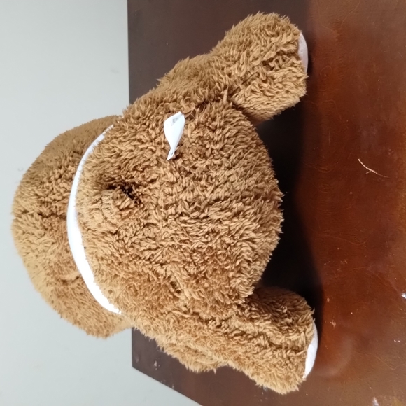 ✓PREXTEX 12-Inch Get Well Soon Plush Bear - Soft Stuffed Teddy Bear. - Picture 6 of 14
